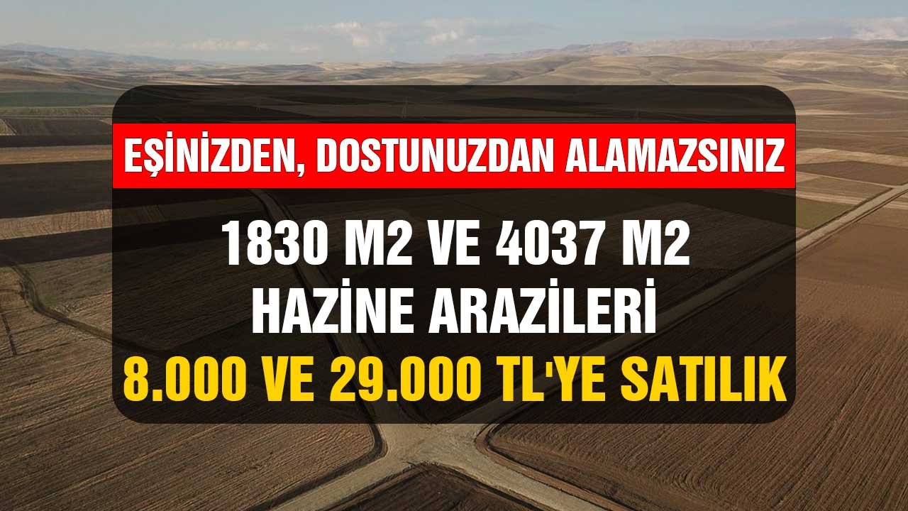 Eşinizden dostunuzdan alamazsınız! 1830, 4037 m2 hazine arazileri 8.000 ve 29.000 TL'ye satılık