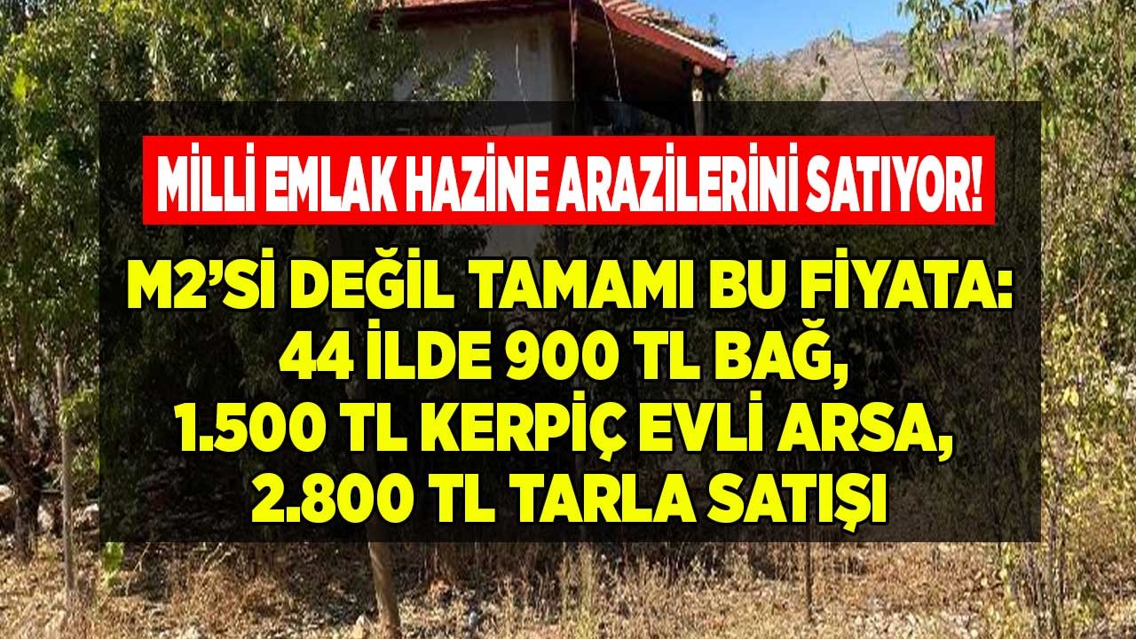 Milli Emlak'tan Bayram Hediyesi Hazine Arazileri! 44 İlde 900 TL Bağ, 1.500 TL Kerpiç Ev ve Arsa, 2.800 TL Tarla Satışı