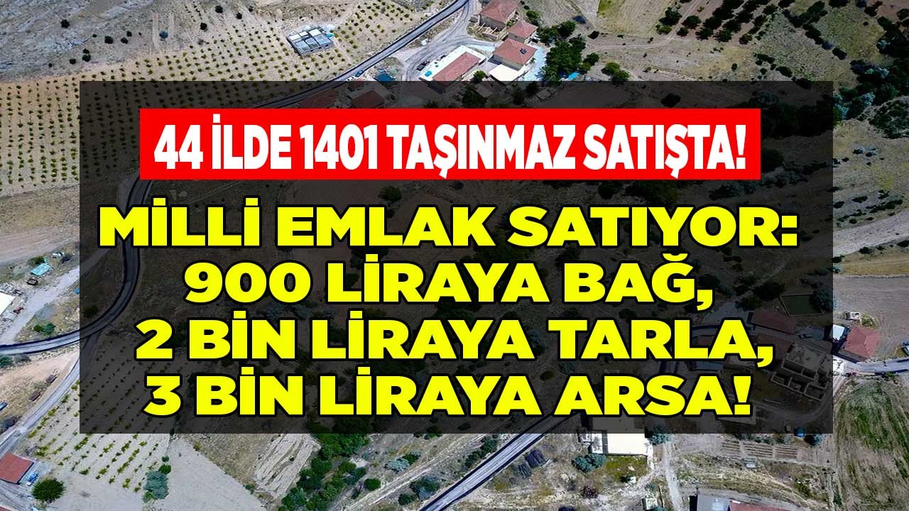 Milli Emlak Mayıs 2022 Arsa Satışları: 10 TL'den Başlayan M2 Fiyatları İle Satılık Hazine Arazisi, Tarla, Bahçe, Bağ