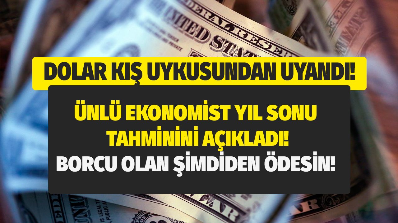 Dolar kış uykusundan uyandı! 17 TL iyimser diyen Meriç Köyatası dolar yıl sonunda kaç lira olacak açıkladı!