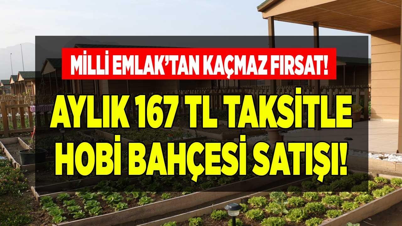 Milli Emlak Aylık 167 TL Taksitle Bahçe Satıyor! Hobi Bahçesi Arayanlara Meyve Ağaçlı Sudan Ucuz Satılık Bağ İlanları