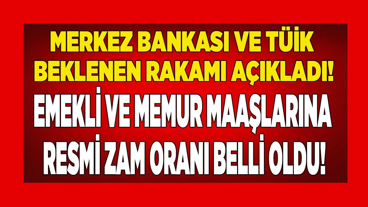 Enflasyon, Refah Payı, Ek Zam! TÜİK TEFE TÜFE, Merkez Bankası 6 Aylık Enflasyon Tahmini Emekli, Memur Maaşı Temmuz Zammı