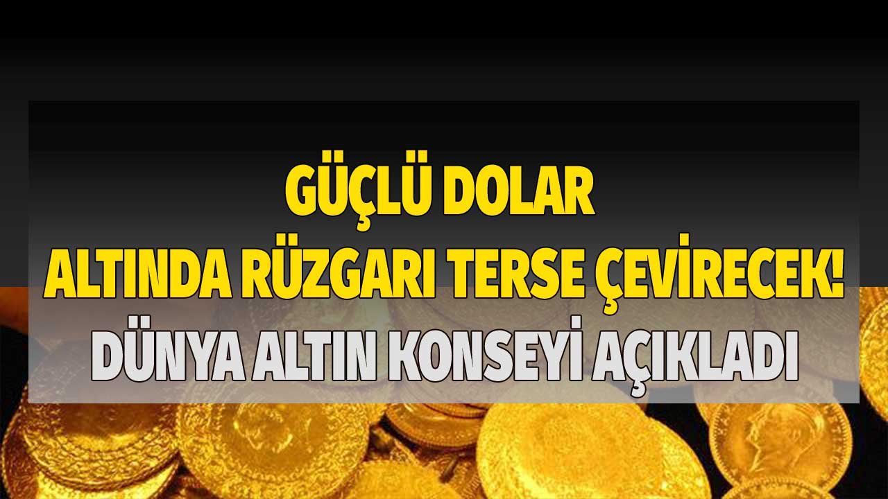 Dolar güçlenirse altında ters rüzgarlar esecek! Dünya Altın Konseyi altın tahmini açıkladı