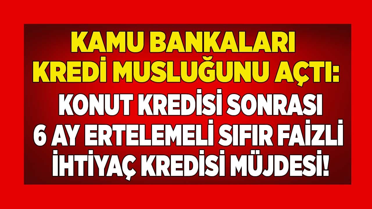 Kamu Bankaları Kredi Musluklarını Açtı: Ziraat Bankası ve Halkbank 6 Ay Ertelemeli Faizsiz Destek Kredisi Müjdesi