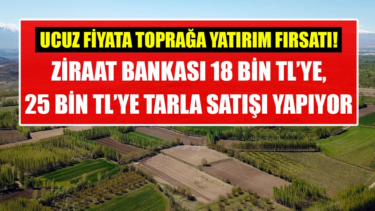 Toprağa Yatırım Yapmak İsteyenler Dikkat! Ziraat Bankası 18 Bin TL'ye, 25 Bin TL'ye, 34 Bin TL'ye Tarla Satıyor!