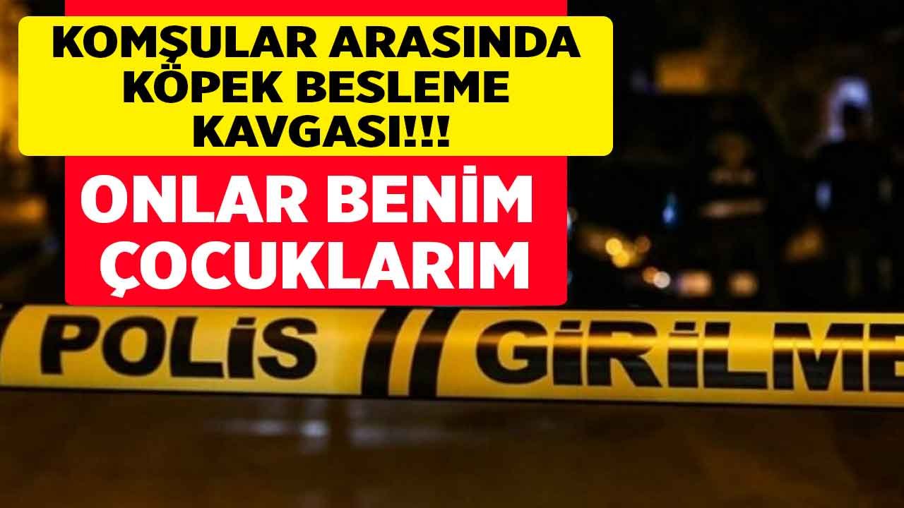 Komşular Arasında Köpek Kavgası! Yaşlı Kadın Onlar Benim Çocuklarım, Göndermem Diyerek Gözyaşı Döktü