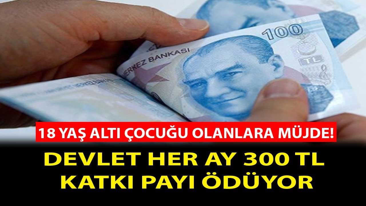 18 Yaş Altı Çocuğu Olanlara ING Bank Üzerinden Devlet 300 TL Katkı Payı İle Aylık Para Ödemesi Yapacak