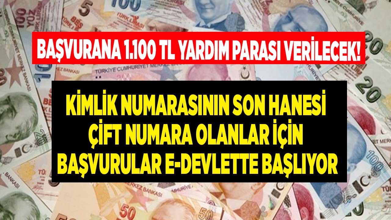 Kimlik Numarasının Son Hanesi Çift Numara Olanlar! E-Devlet 1100 TL Sosyal Yardım Başvuru Ekranı Cuma Günü Açılıyor