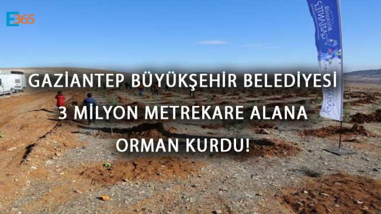 Gaziantep Büyükşehir Belediyesi 3 Milyon Metrekare Alana Orman Kurdu!