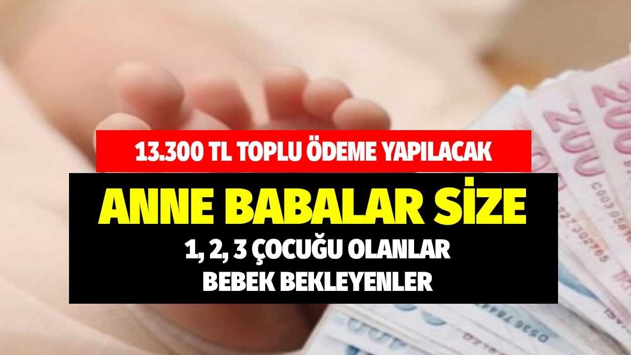 13.300 TL toplu ödeme yapılacak! 1 2 3 çocuğu olanlar bebek bekleyen anne babalar