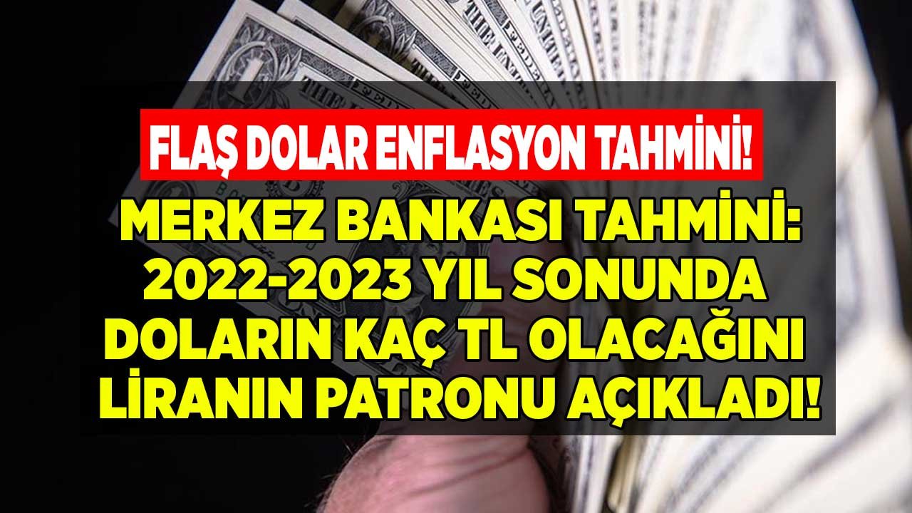 Merkez Bankası'ndan Flaş Dolar, Enflasyon Tahmini! 2022 - 2023 Yıl Sonunda 1 Dolar Kaç TL Olacak Liranın Patronu Duyurdu