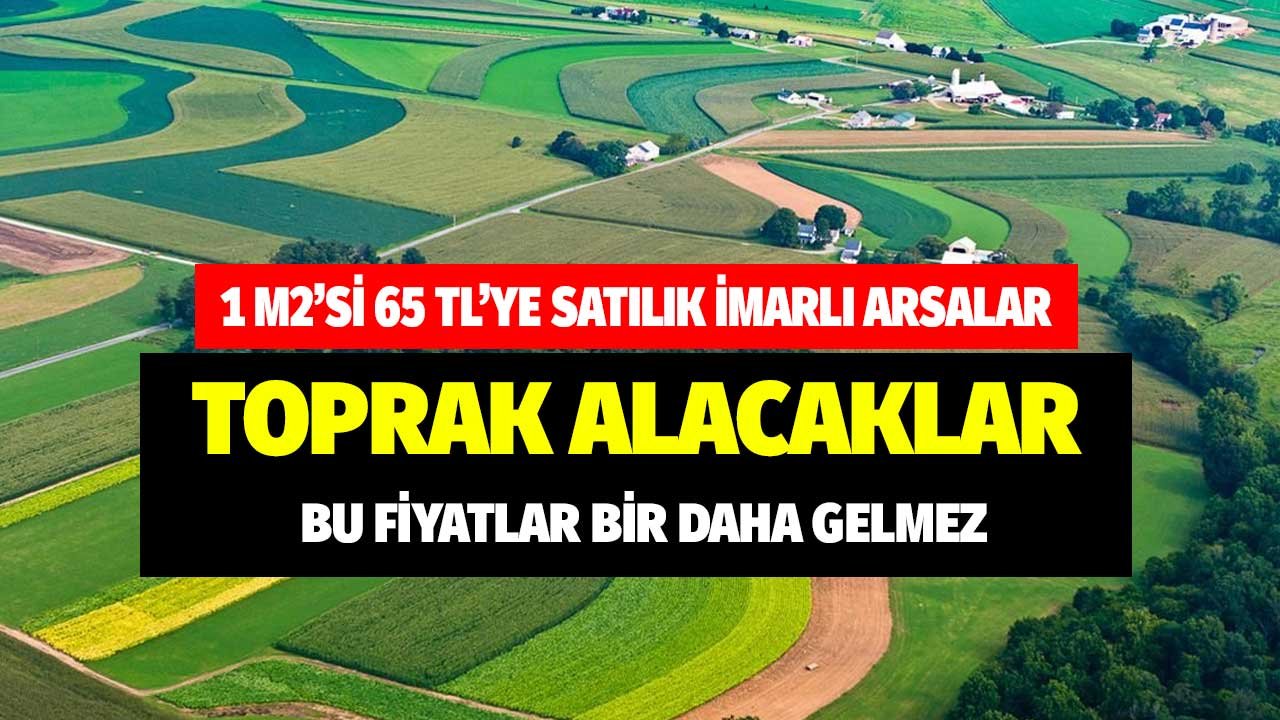 1 M2'si 65 TL'den satılık imarlı arsalar! Parasını toprağa yatıracaklar her zaman gelmez