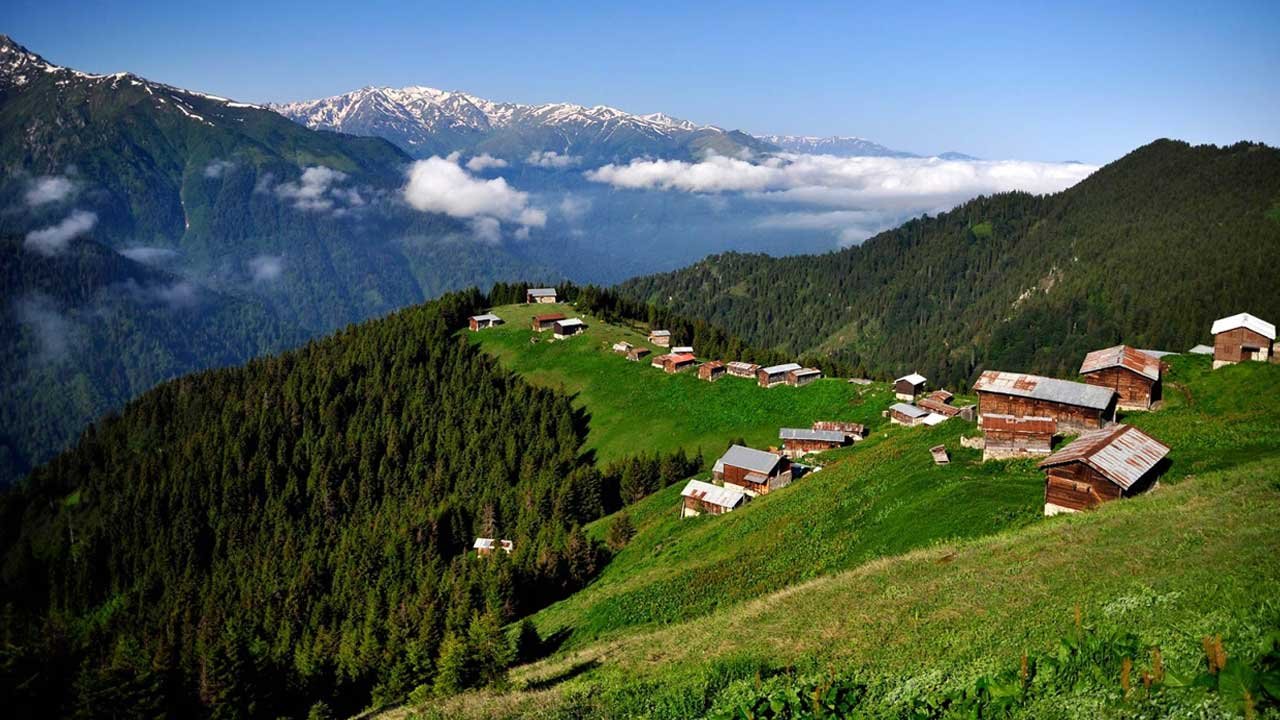 Karadeniz Yaylalarında Yıkım Tekrar Başladı! Kaçak Yapılar Tek Tek Yıkılıyor