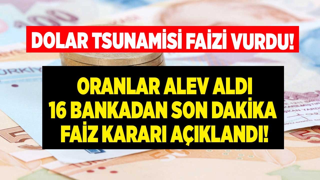 Rakamları Dolar Tsunamisi Vurdu, Bankaların Faiz Oranları Uçtu! Kredi, 32 Günlük Vadeli Mevduat Faizi Son Dakika Depremi