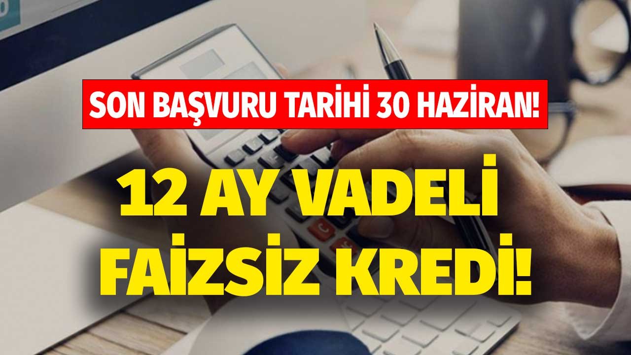 Denizbank Faizsiz Kredi Kampanyası: Cep Telefonu, Beyaz Eşya Alışveriş Kredisi İle 12 Ay Vade, Sıfır Faiz!