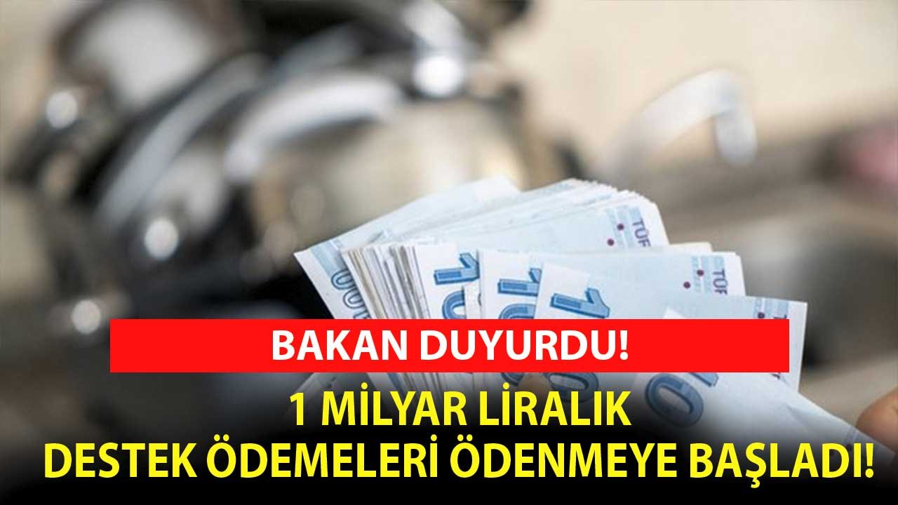 Bakan Kirişçi'den son dakika duyurusu! 1 milyar lira destek ödemeleri başladı