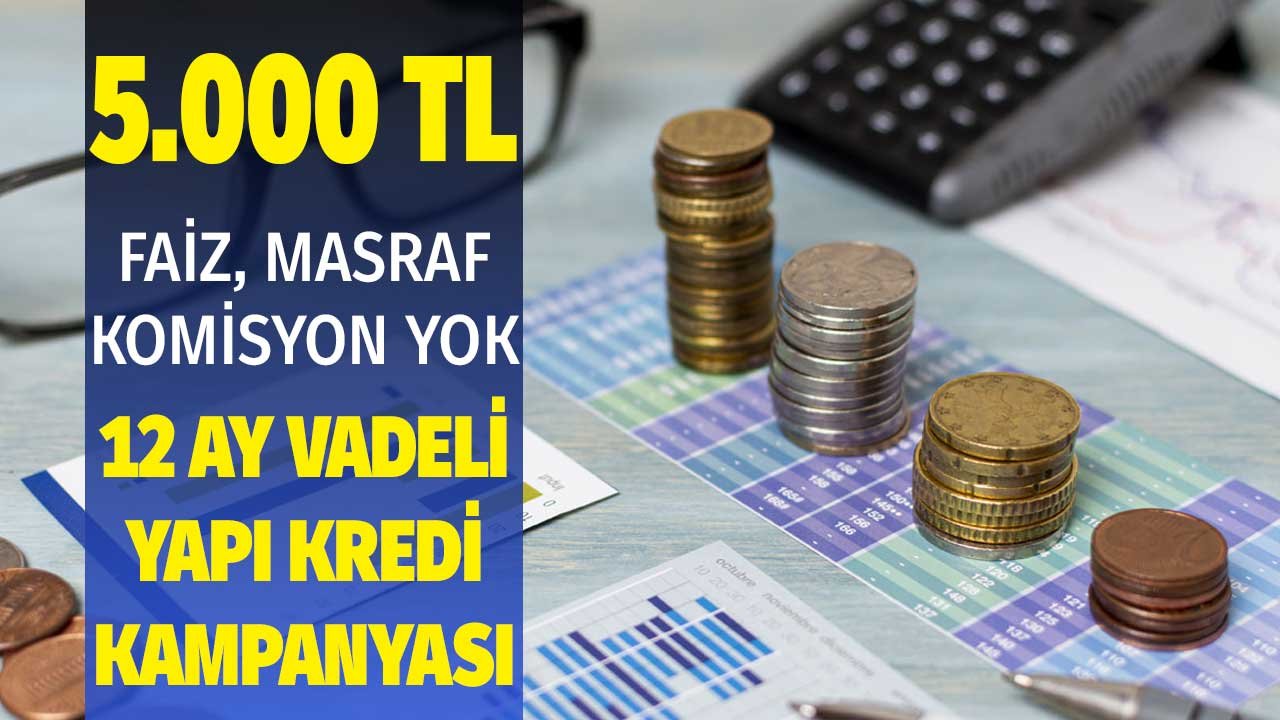 Bir fırsat daha! 12 ay vadeyle 5000 lira ihtiyaç kredisi ne çekerseniz onu ödeyeceksiniz