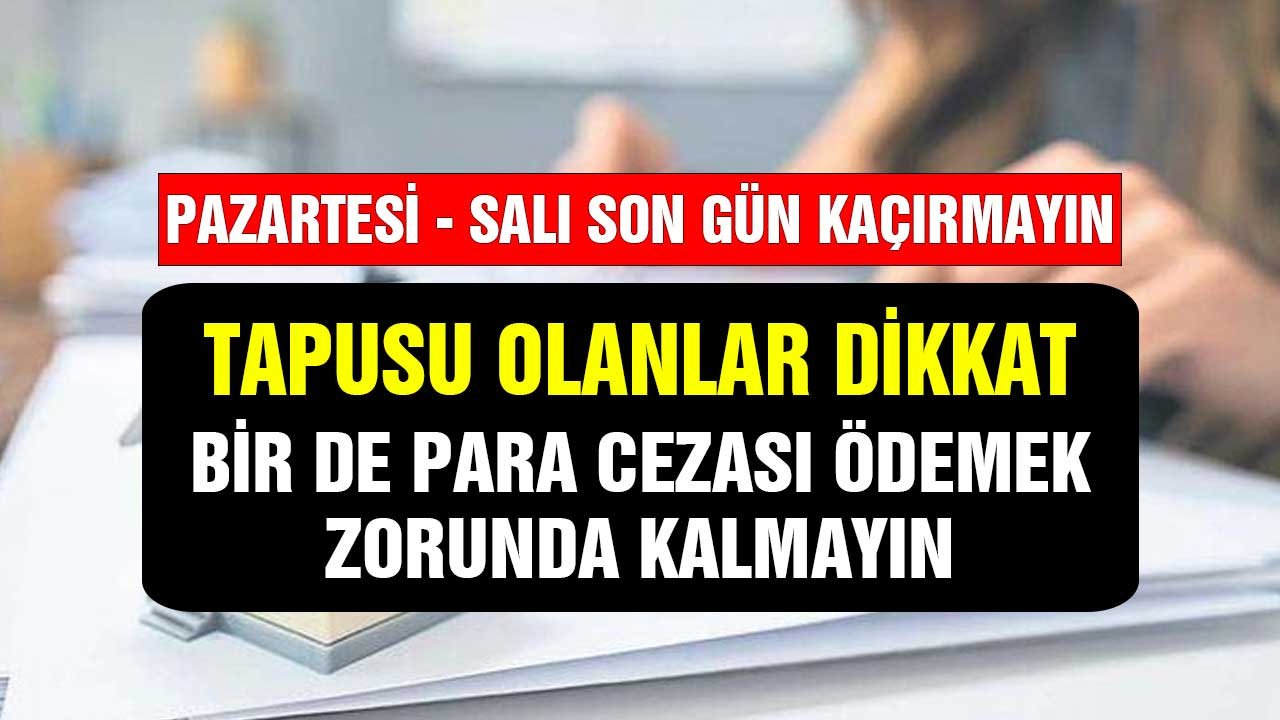 Pazartesi Salı son gün kaçırmayın! Tapusu olanlar dikkat birde para cezası ödemek zorunda kalmayın