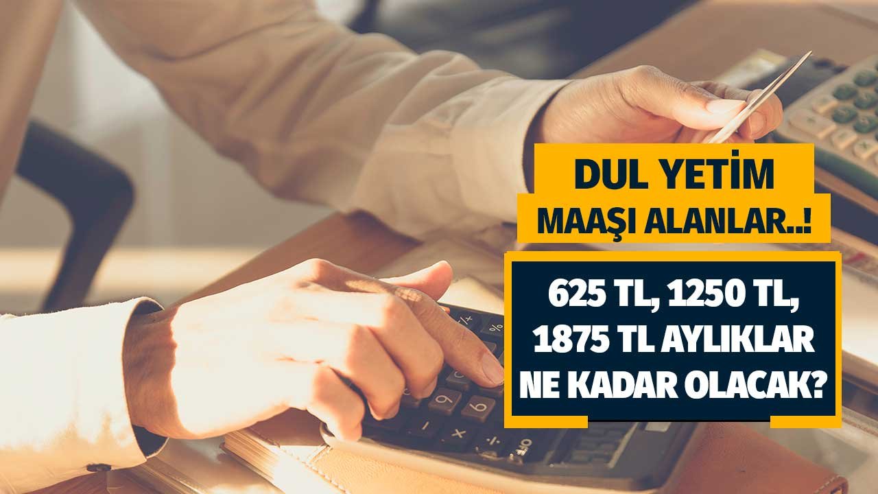 625, 1250, 1875 2000 TL dul yetim maaşı alanlara zam! Temmuz'da cüzdanlara ne kadar girecek? Hesaplandı..