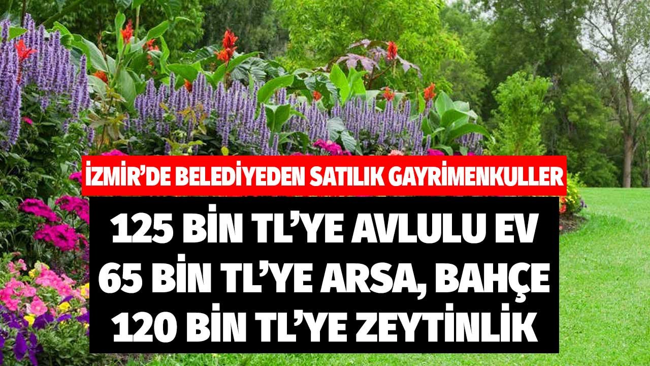 İzmir'de Belediyeden Satılık! 125 bin liraya avlulu ev, 65 bin liraya arsa, 120 bin liraya zeytinlik