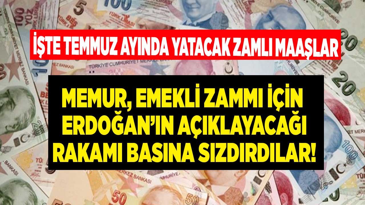 Memur, Emekli Maaşları İçin Cumhurbaşkanı Erdoğan'ın Temmuz'da Açıklayacağı Enflasyon Farkı Maaş Zammı Rakamı Sızdırıldı