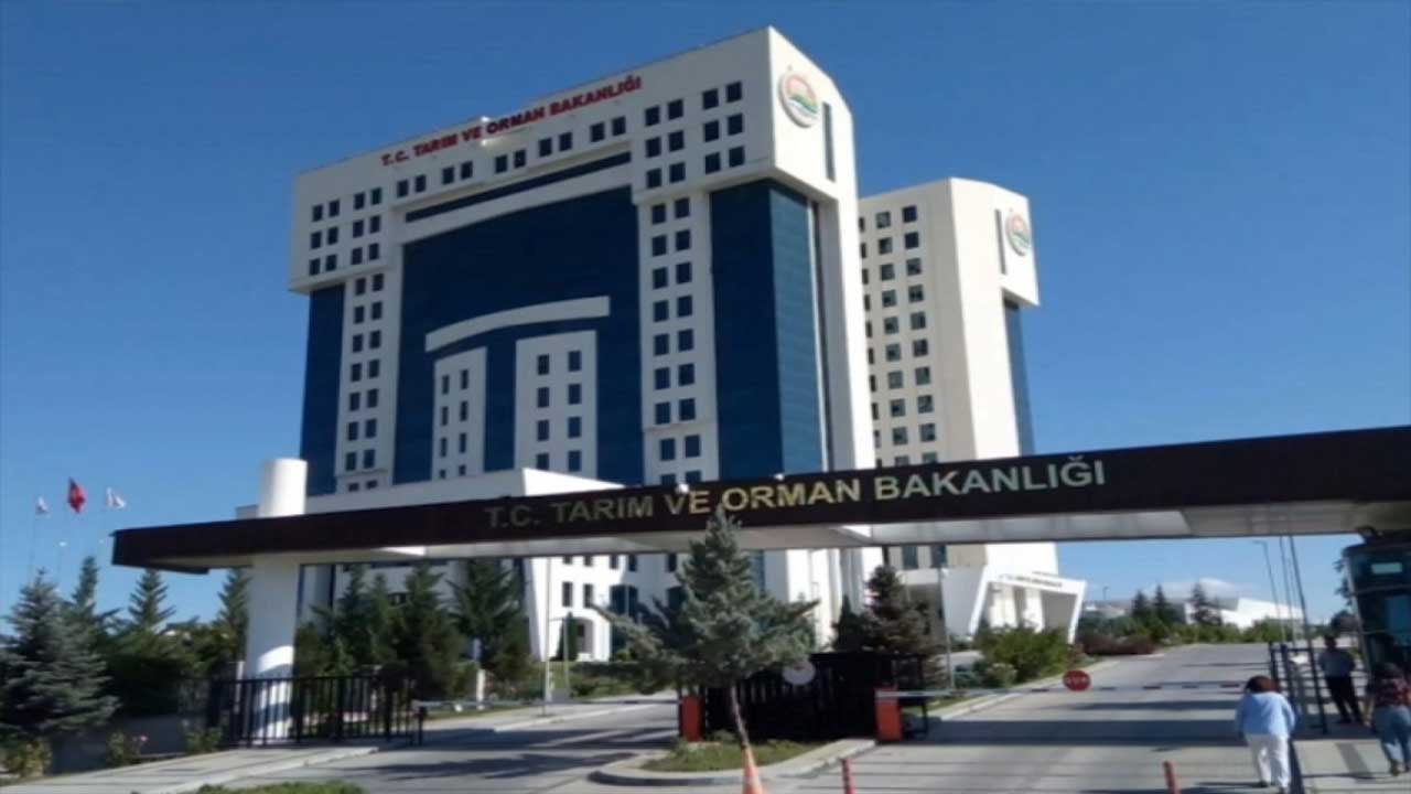 Tarım ve Orman Bakanlığı 1.800 personel alımı başvurusu nasıl yapılır? Branş ve kontenjan dağılımı