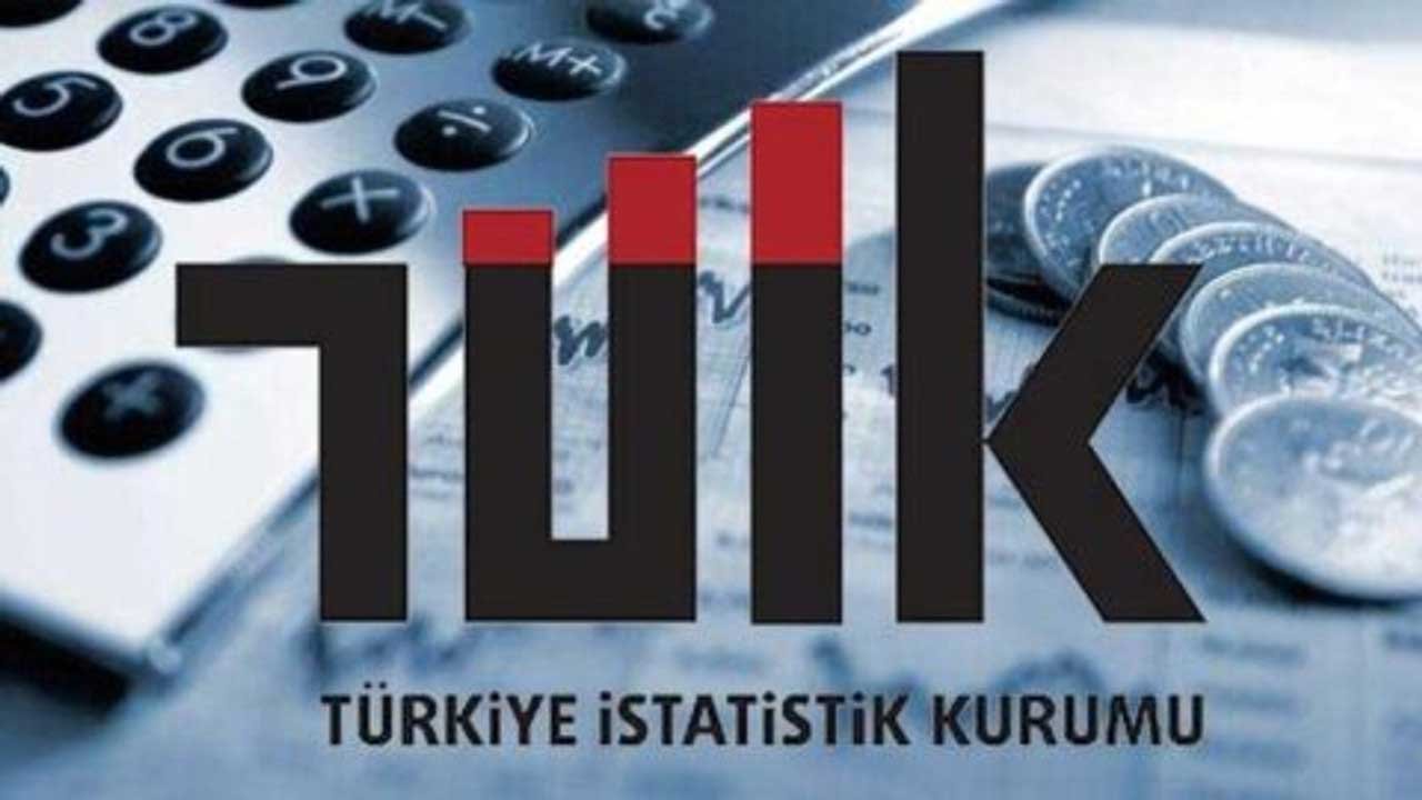 TÜİK Enflasyonu Açıkladı, Şok İstifa Kararı Deprem Yarattı! Tüketici Fiyatları Grup Başkanı İstifa Etti İddiası