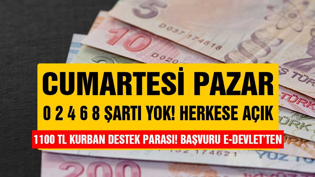 Cumartesi Pazar 0, 4, 6, 8, şartı yok! 1100 TL kurban destek parası niteliğinde, e-Devlet'ten başvurulacak