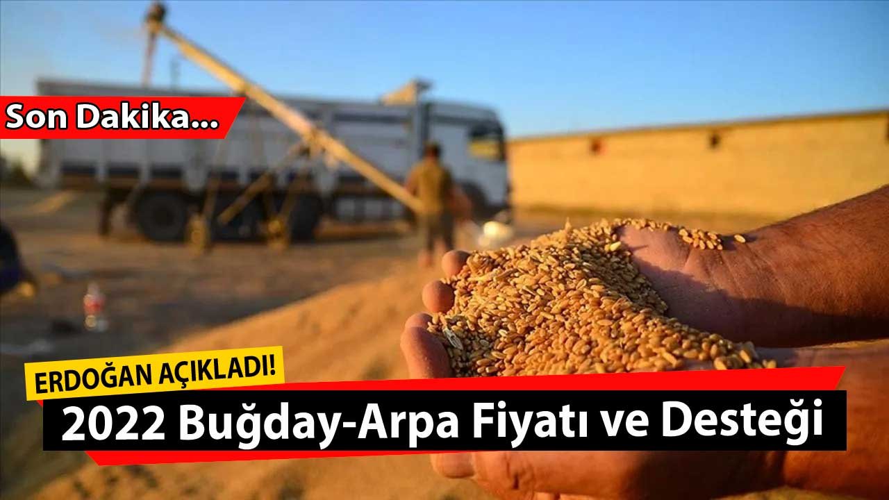 SON DAKİKA: TMO Buğday Fiyatı 2022, Arpa Alımı Fiyatları, Toprak Mahsulleri Ofisi Arpa-Buğday Desteği Açıklandı!