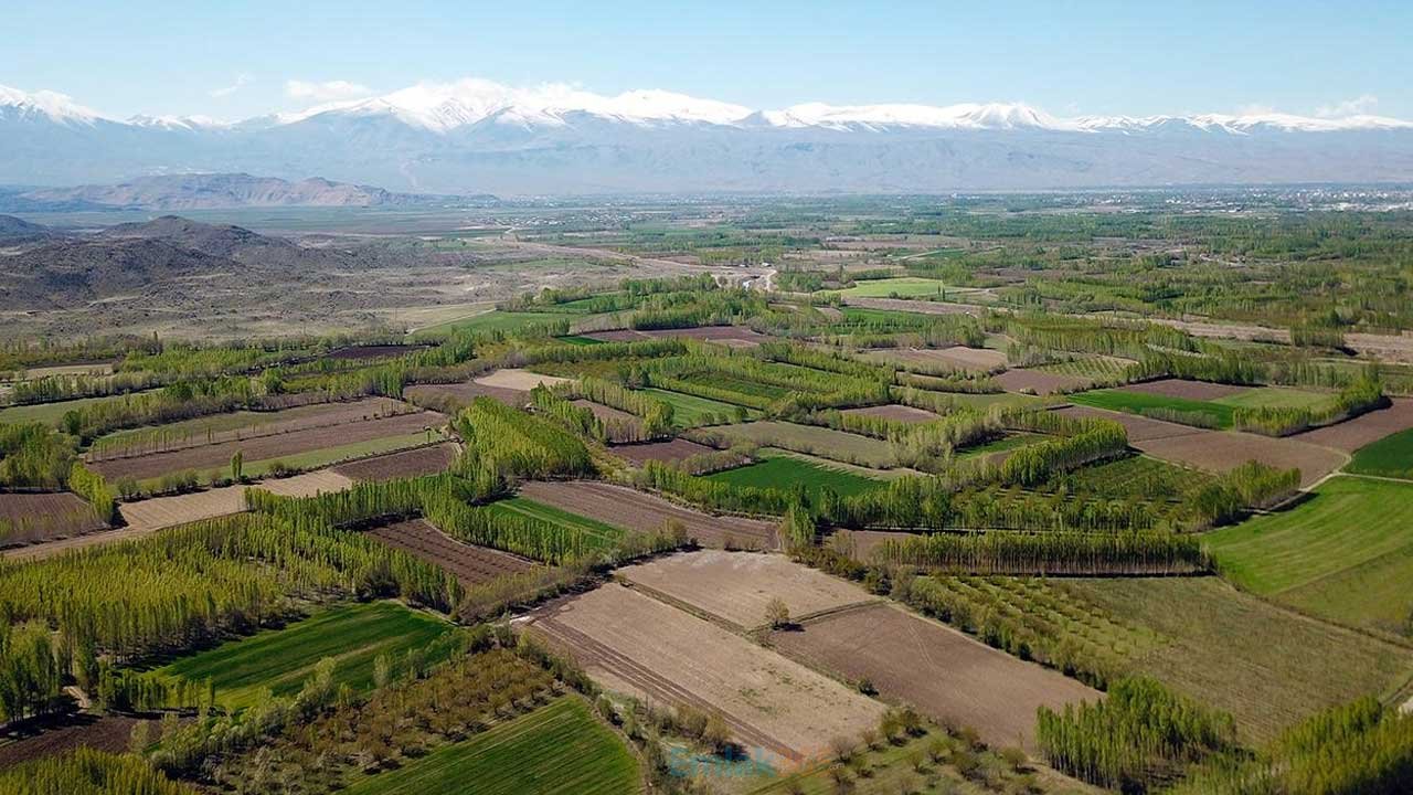 Tam hisseli boş konut alanı imarlı hazine arsaları! Şehir merkezi m2 satış fiyatları