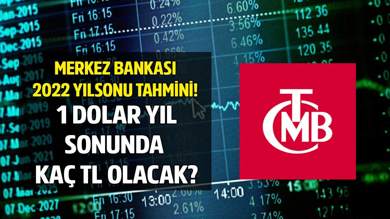 Merkez Bankası 2022 Yıl Sonu Dolar ve Enflasyon Tahmini Açıklandı! TCMB Temmuz 2022 Piyasa Katılımcıları Anketi