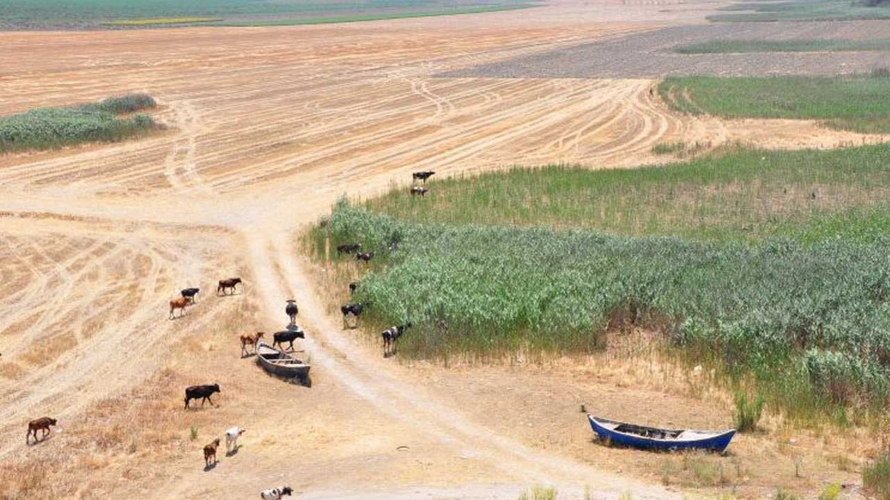 Marmara Gölü'nde 4 Ayrı Arazi Kavgası: 1 Kişi Hayatını Kaybetti, 2 Kişi Yaralandı