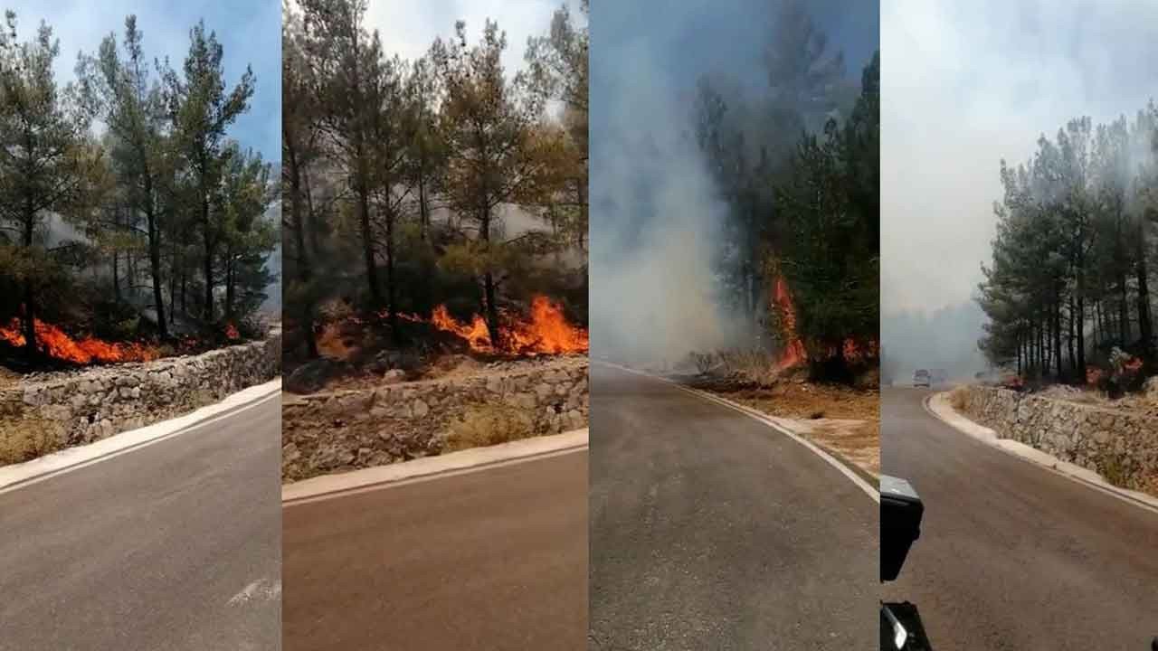 Önce Muğla Datça Ardından İzmir Alaçatı'da Orman Yangını! Datça'da Yangın Yerleşim Yerine Ulaştı