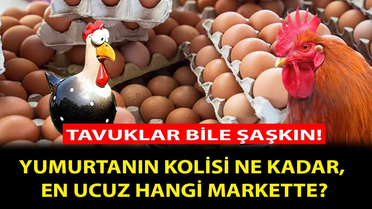 Tavuklar Bile Şaşkın Yumurtaya Rekor Zam Açıklandı, 30'lu Yumurta Kolisi El Yaktı!