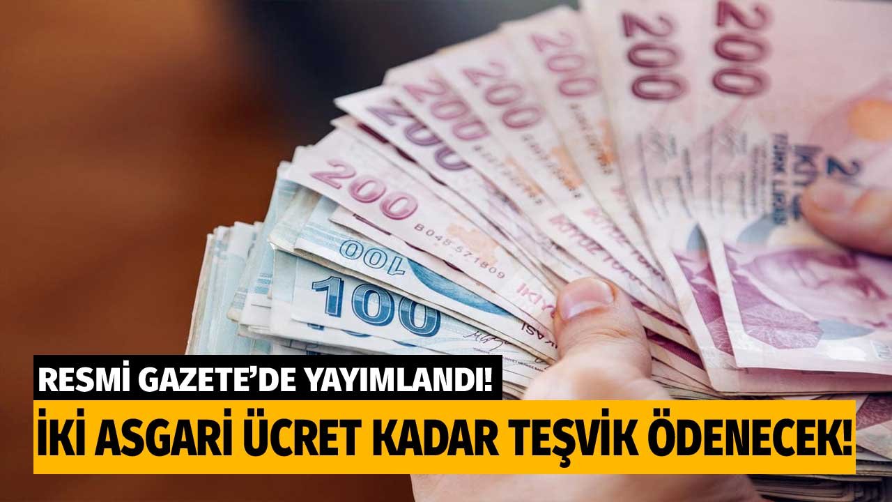 Resmi Gazete'de yayımlandı! İki Bakanlık şartları sağlayana 11 bin TL'ye kadar teşvik verecek