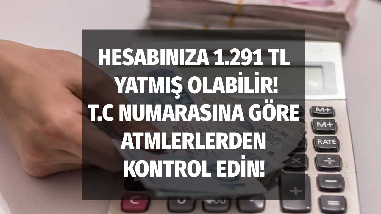 T.C numarası 0, 2, 4, 6, 8 ile bitenler! Hesabınıza bin 291 TL devlet ödemesi yatmış olabilir!