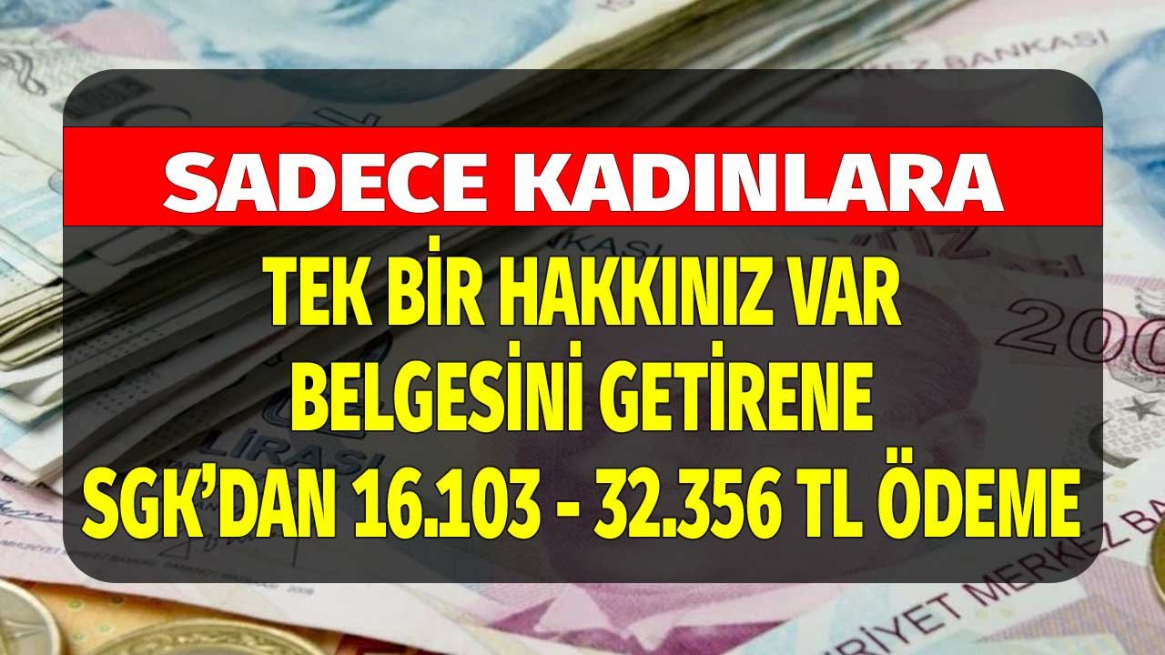 Belgesini getirene 16 haftalık 18.667 TL ödenecek! Tek bir hakkınız var