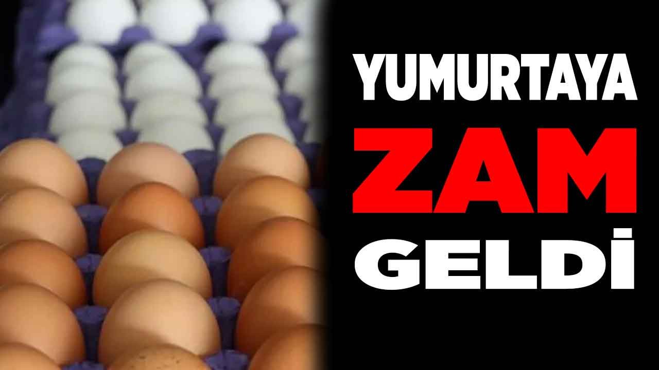 Yumurtaya zam son dakika duyuruldu 30'lu yumurta fiyatı 72.75 TL oldu! A101, BİM, Carrefour, Migros, ŞOK yumurtanın kolisi en ucuz hangi markette?