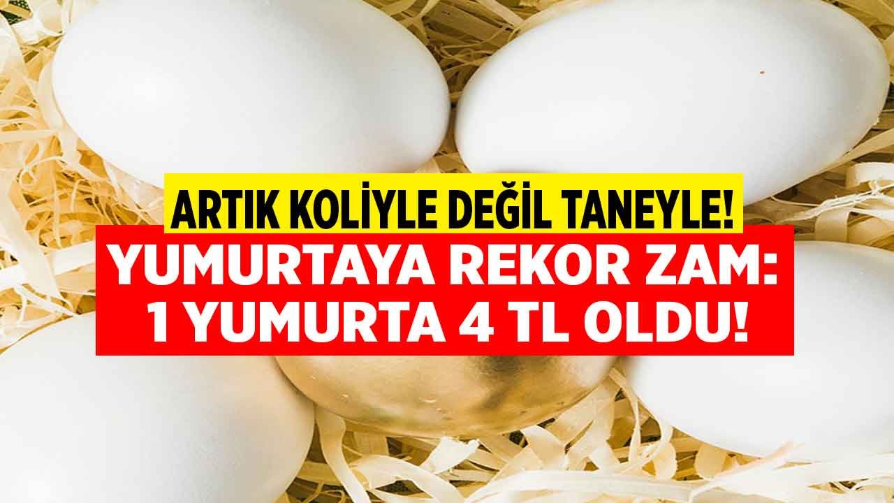 Altın yumurtlayan tavuk hikayesi enflasyonla gerçek oldu! Yumurtanın kolisi alev aldı, 1 yumurta fiyatı 4 TL'yi gördü