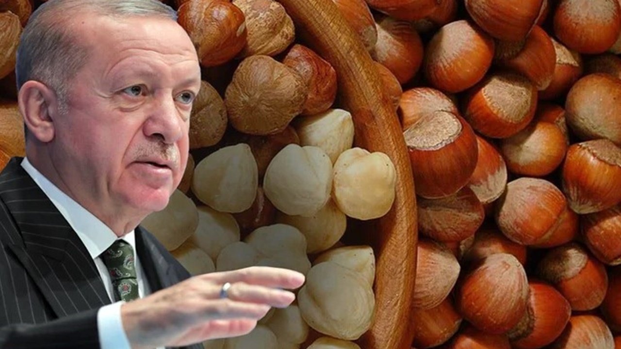 2022 fındık fiyatı ne zaman, hangi gün, saat kaçta açıklanacak, fındık fiyatı kaç TL olacak? Cumhurbaşkanı Erdoğan'ın Ordu programı belli oldu!