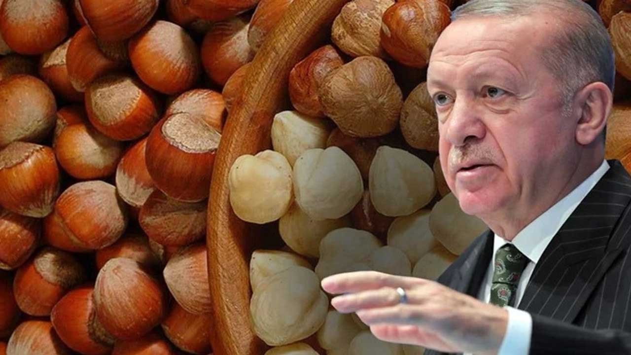 Cumhurbaşkanı Erdoğan'dan Ordu'da son dakika fındık açıklaması: 2022 fındık alım fiyatı açıklandı!