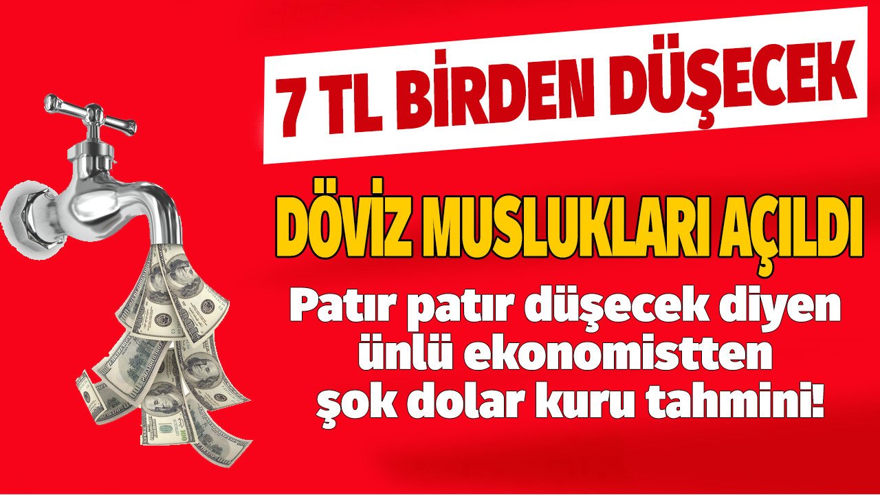 Patır patır düşecek diyen ünlü ekonomist döviz muslukları açıldı diyerek doları olanları uyardı! İşte şok eden 2022 yıl sonu dolar kuru / TL tahmini