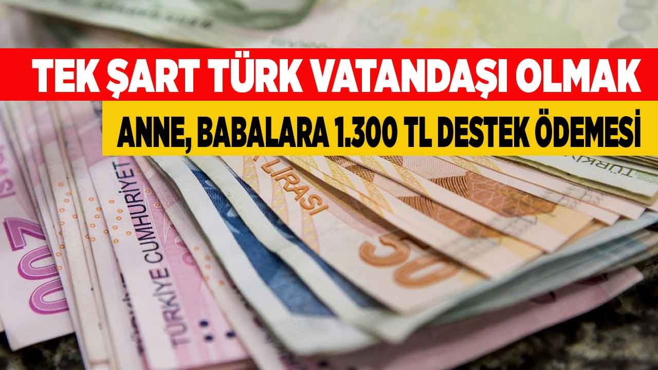 Anne, babalar hiçbir ek şart, koşul yok, Türk vatandaşı olmanız yeterli! 5 sene içerisinde başvuru yapana devletten 1300 TL destek ödemesi