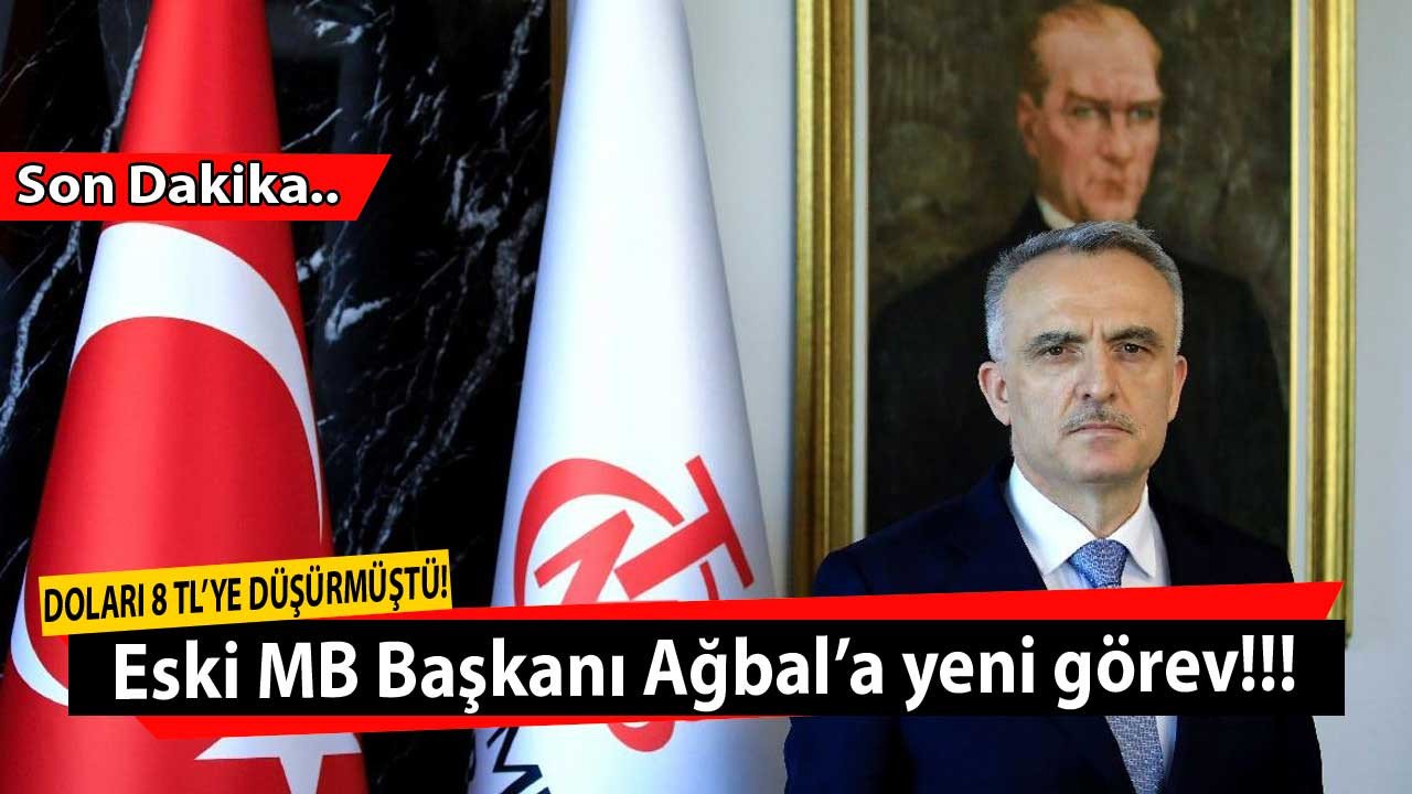 Doları 8 TL'nin altına düşürmüştü! Görevinden alınan eski Merkez Bankası Başkanı Naci Ağbal'ın yeni görevi açıklandı