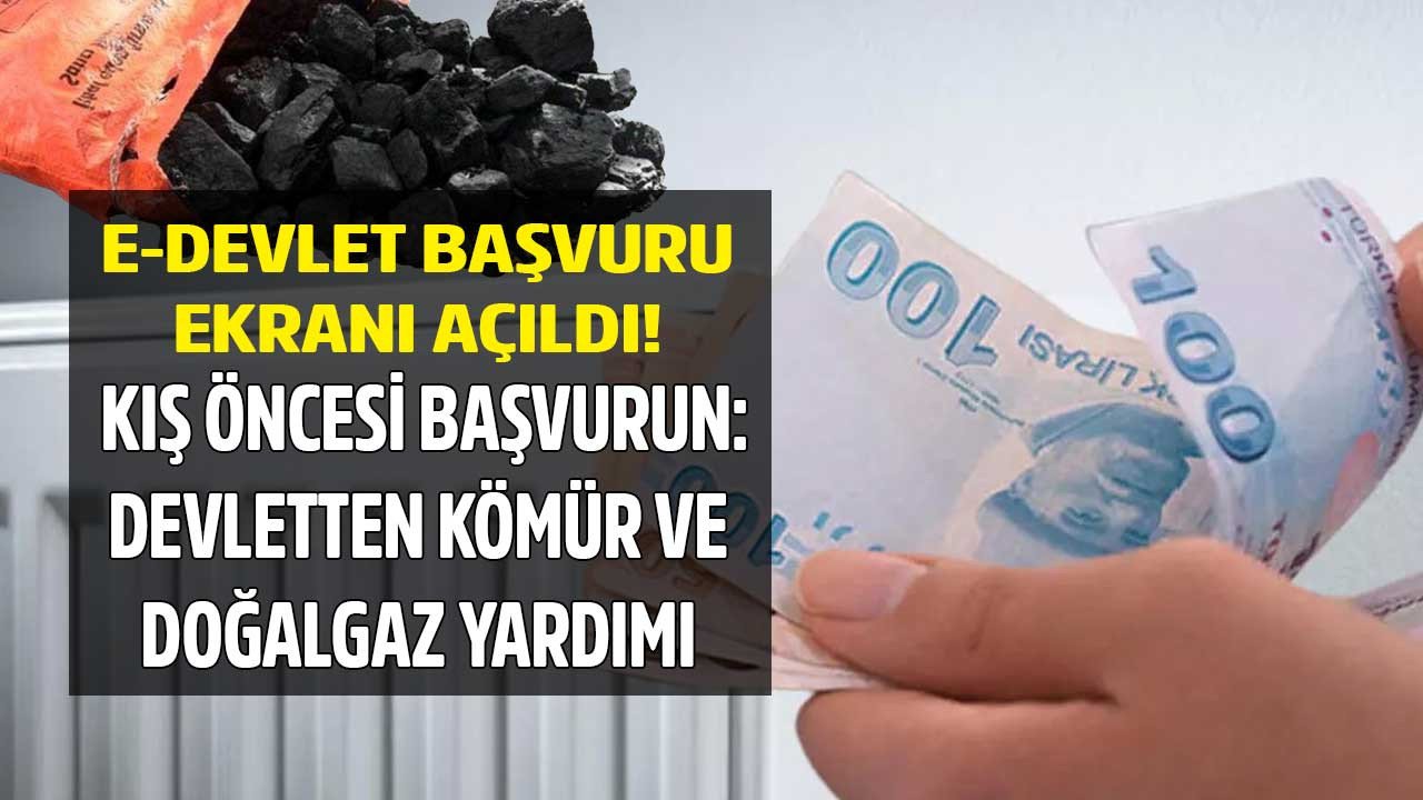 Kış gelmeden e-devlet üzerinden hemen başvuru yapın! Devletin, belediyelerin, sosyal yardım kömür ve doğalgaz yardımı başvuru formu