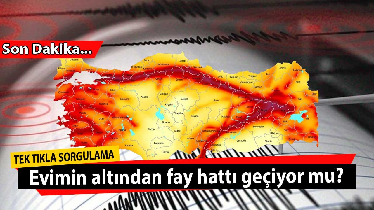 Evinizin altından fay hattı geçiyor olabilir! Deprem riski en yüksek ilçeler hangileri, depremde en çok hasar gören binalar hangileri?