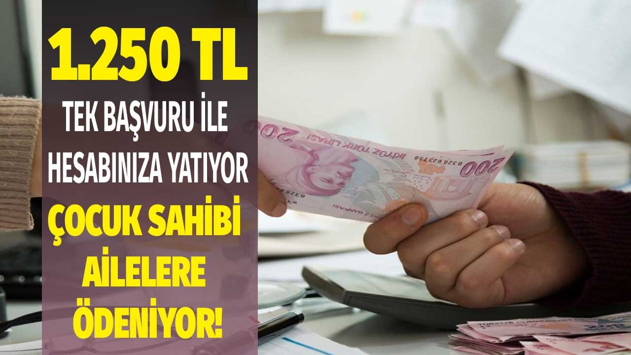 Sigortalı ya da sigortasız olmanız fark etmiyor! Çocuk sahibi olan baba ve annelere 1.250 TL ödeniyor