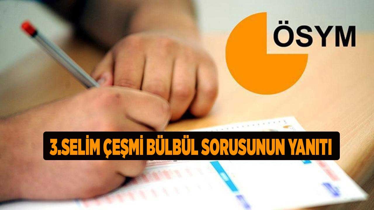 3. Selim çeşmi bülbül sanatı sorusunun cevabı nedir?