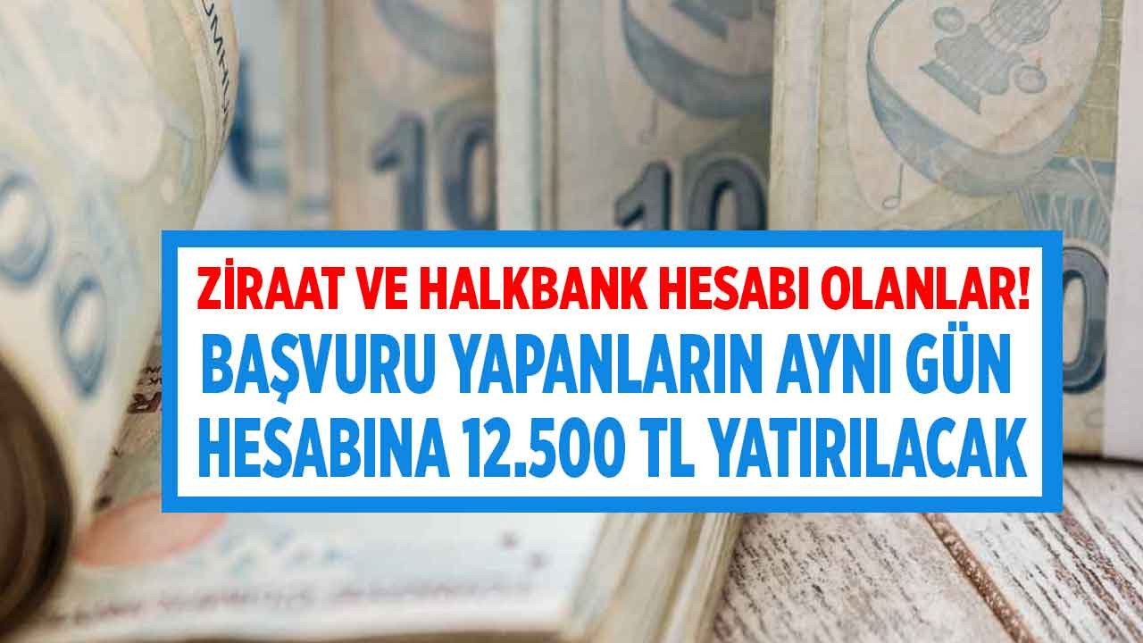 Sadece Ziraat Bankası ve Halkbank hesabı olanlar alabilecek! Başvuru yapanlara aynı gün içinde 12.500 TL ödeniyor, anında hesaplara yatıyor