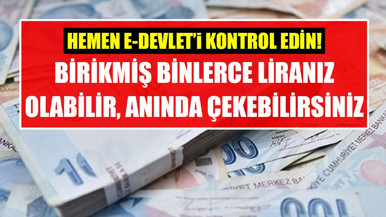 Hemen E-Devlet'i kontrol edin! Birikmiş binlerce liranız olabilir, anında çekebilirsiniz!